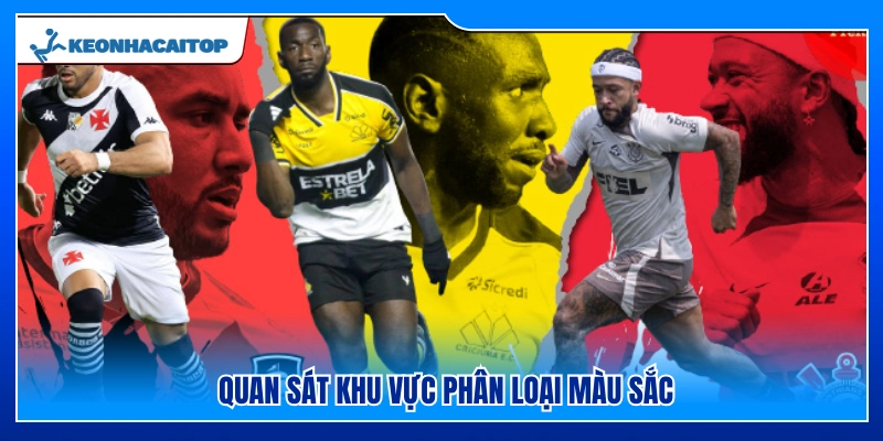 Kiểm tra khu vực phân loại màu sắc