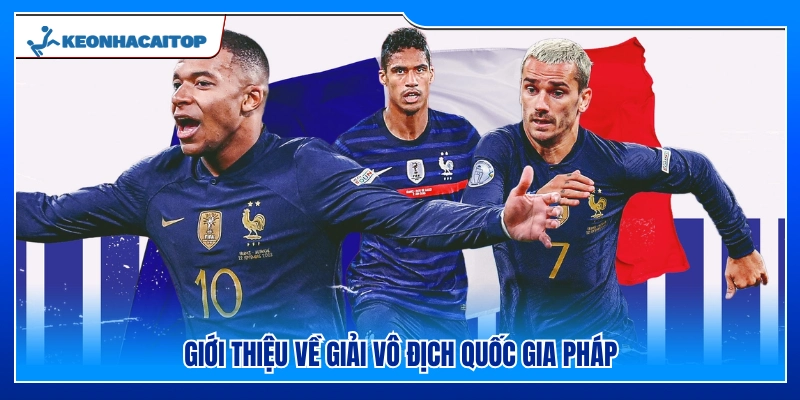 Khái quát về giải vô địch bóng đá Pháp