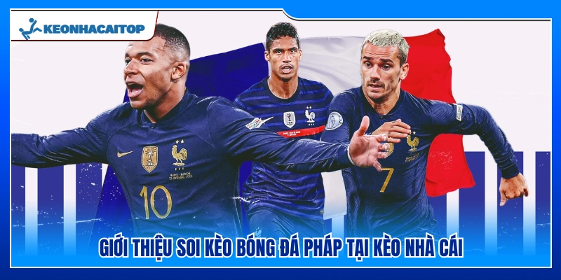 Tổng quan về soi kèo bóng đá Pháp tại Kèo Nhà Cái